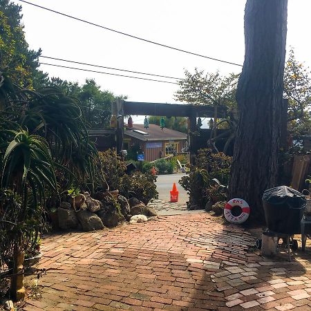 Stinson Beach Redwoods Haus B&B 외부 사진